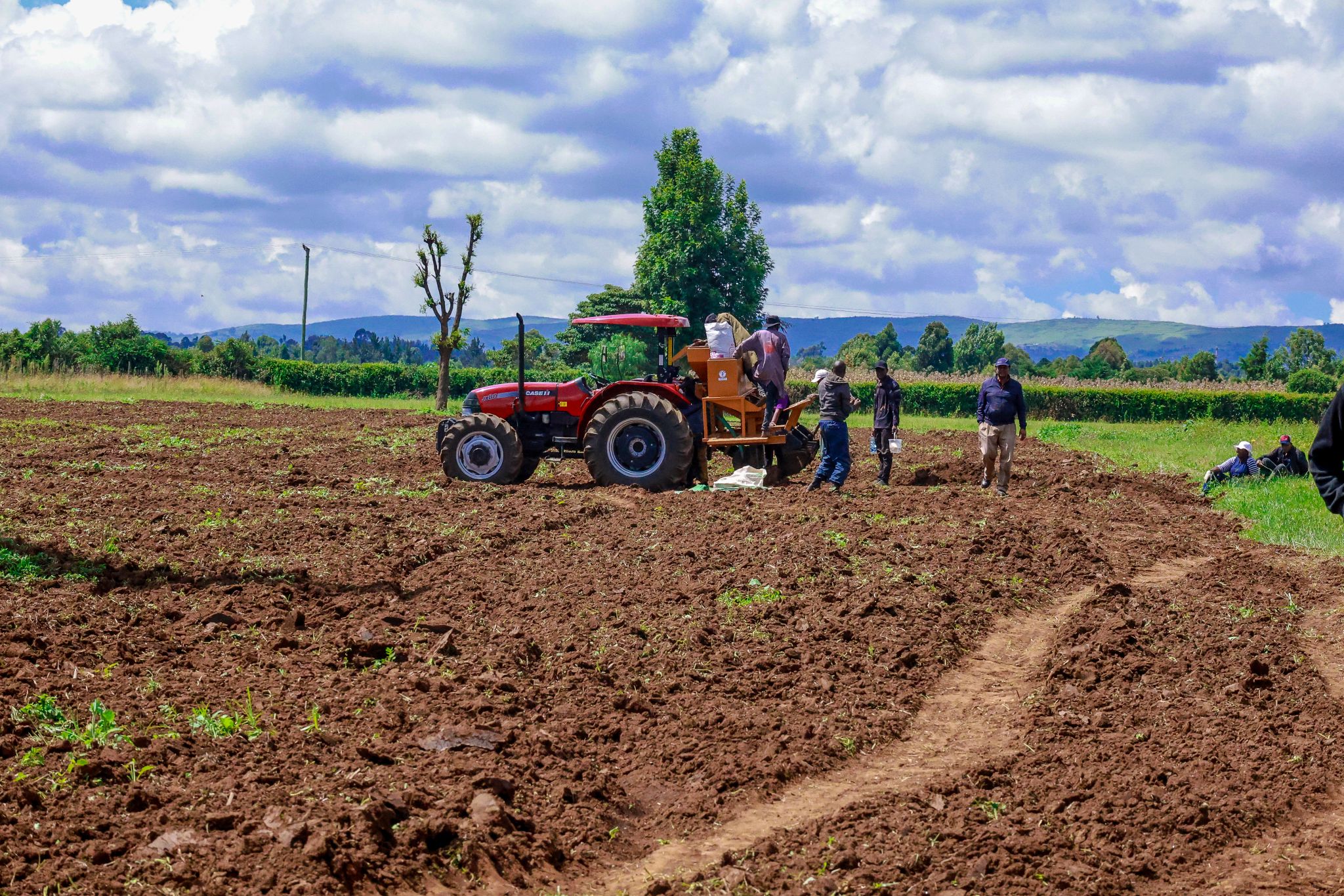 Farmers working in the field